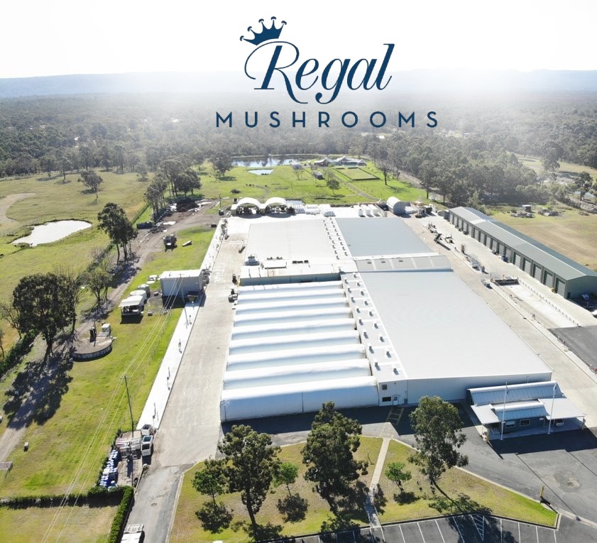 Regal Mushrooms is part of The White Prince Group